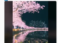 레딧서 핫한 한국 사진 한장