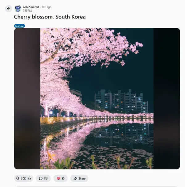 레딧서 핫한 한국 사진 한장