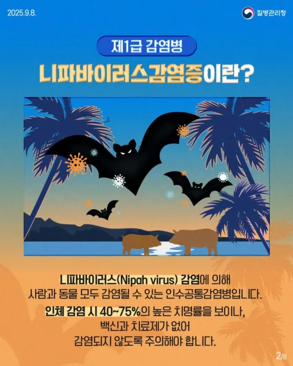 현재 점점 퍼지고있는 바이러스