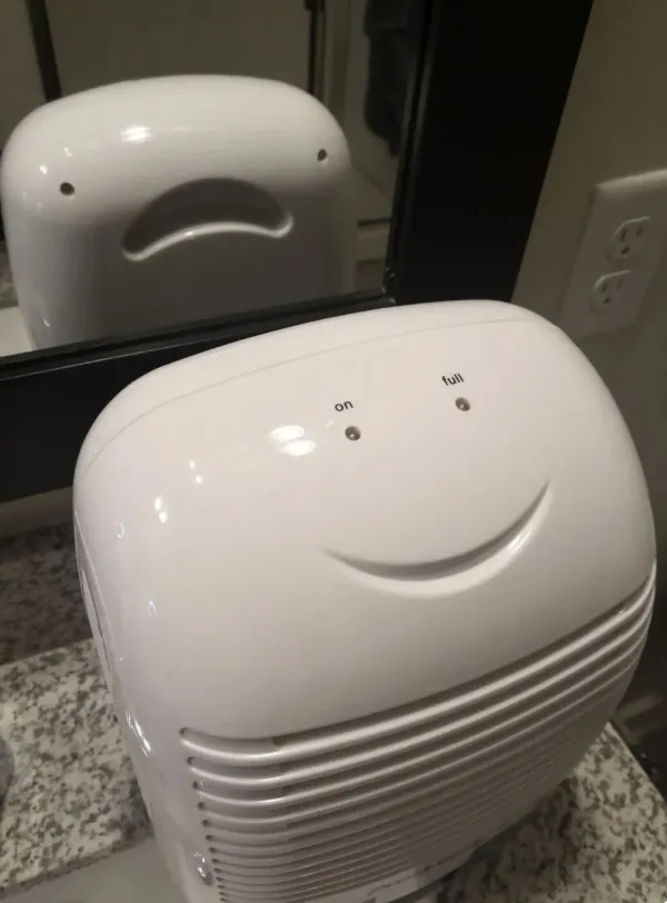 주인님! 속지마세요 그놈은 제가 아니에요!!