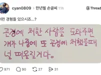컴퓨터 본체 갤러리 명언