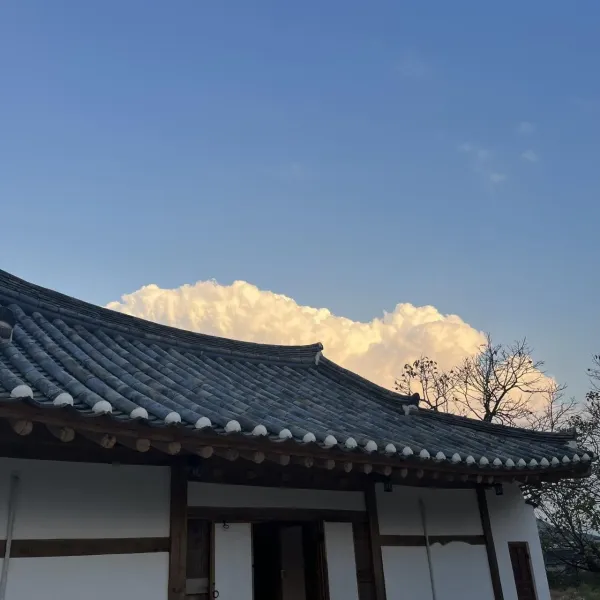 또 가고싶다