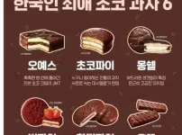호불호 좀 갈리는 초코 과자들
