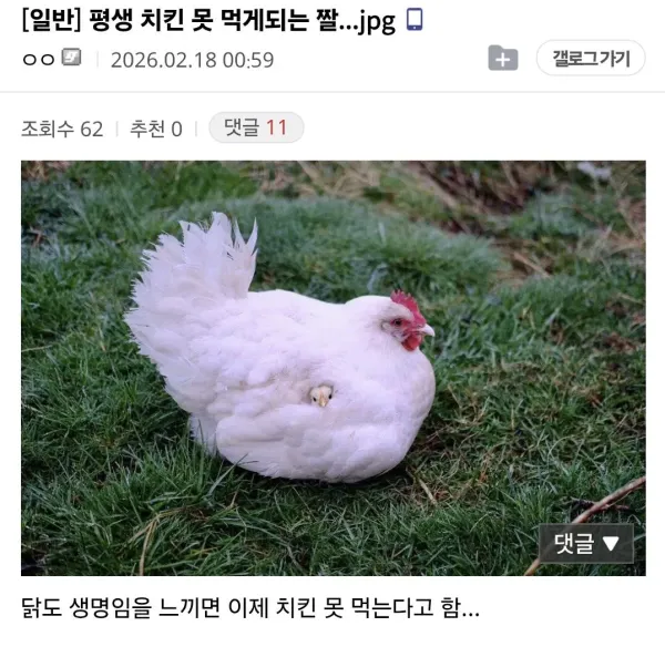 평생 치킨 못 먹게되는 짤