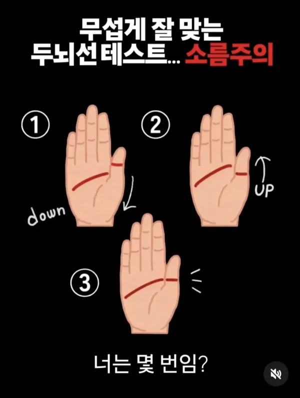 무섭게 잘 맞는 두뇌선 테스트