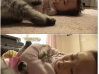 고양이 이름이 엔젤인 이유