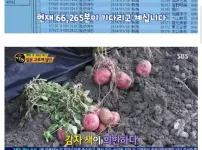 38년 웨이팅해야 먹을 수 있는 달인의 음식...
