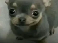 크팰 마테타 일처리 진짜 ㅂㅅ이네ㅋㅋㅋ
