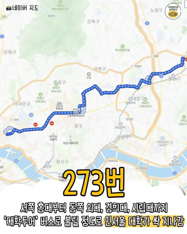 버스타고 