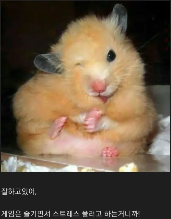 게임난이도 