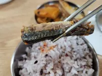 점심 두부찌개