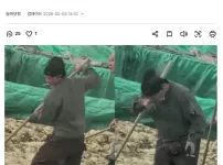 담배 꼬나물고 김장하기