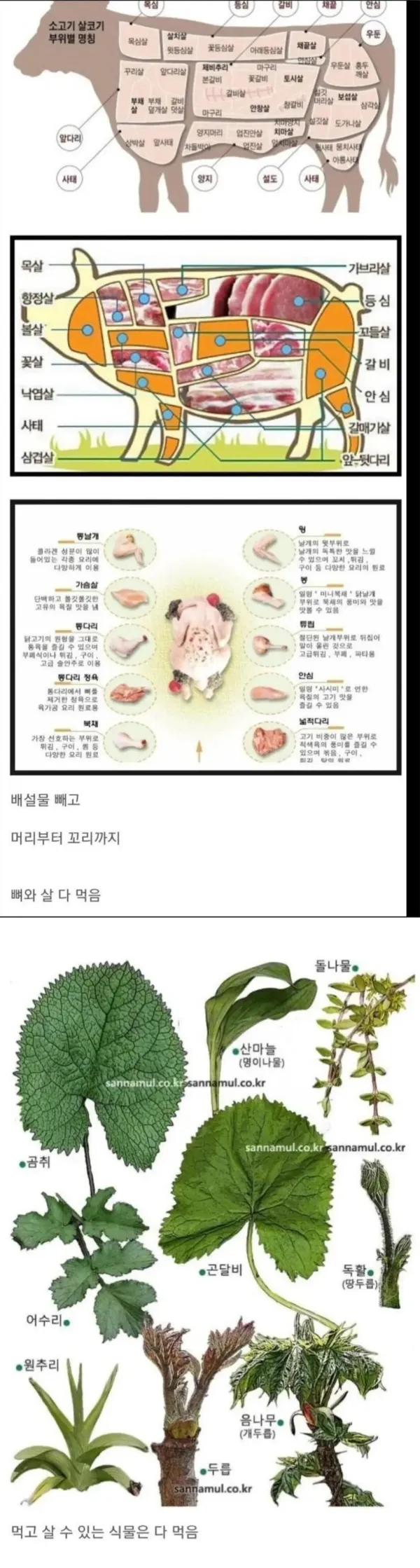 뭐든지 잘 먹는 한국인들
