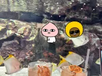 상어에이드
