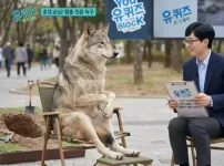 늑구가 이름이 늑9인이유