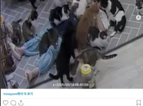 고양이 쉼터에서 6시간 주무신 분