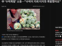 중국 전기차가 위험한 이유