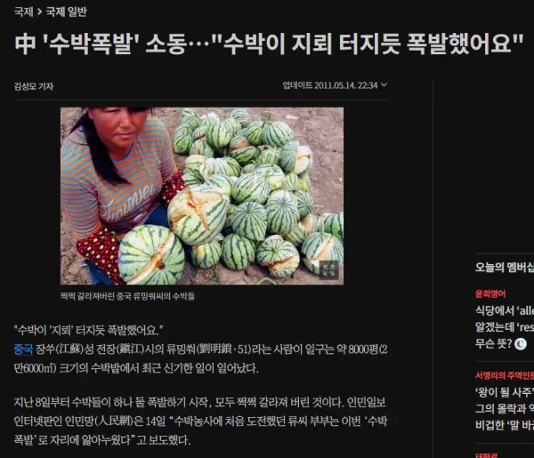 중국 전기차가 위험한 이유