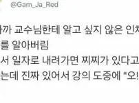 별로 알고 싶지 않은 젖꼭지의 비밀