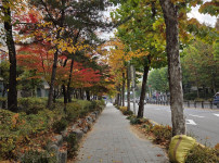 가을의끝