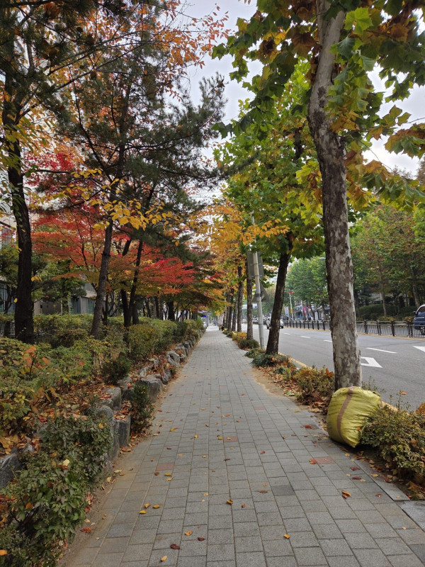 가을의끝