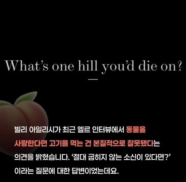 동물을 사랑하면 고기를 먹는 것은 잘못