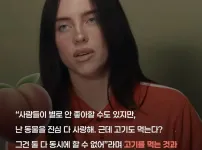 동물을 사랑하면 고기를 먹는 것은 잘못