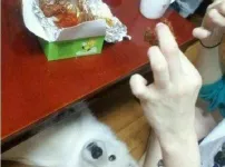 개가 치킨 먹으면 죽냐?