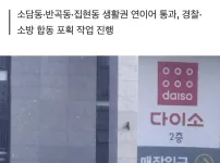 현재 난리났다는 세종 도심한복판 멧돼지 근황