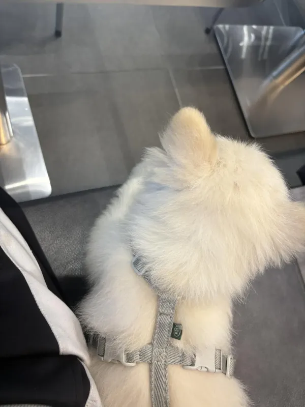 공부중인데 플러팅 당했습니다