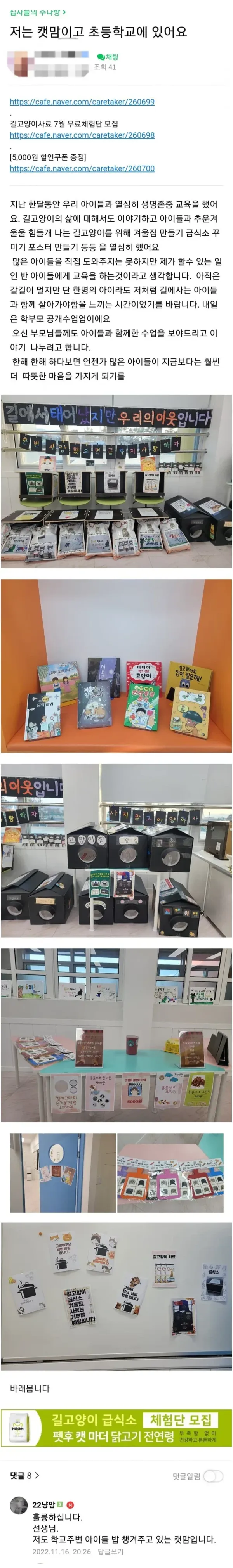 초등학교 교사가 캣맘일때