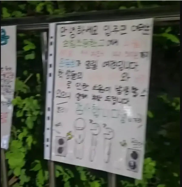 기괴함 그 자체인 초등학교 운동회 근황