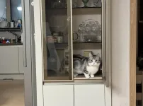 장 안에 숨어 있다니