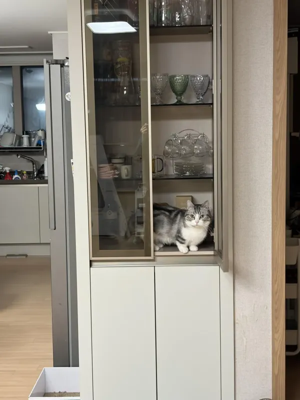장 안에 숨어 있다니