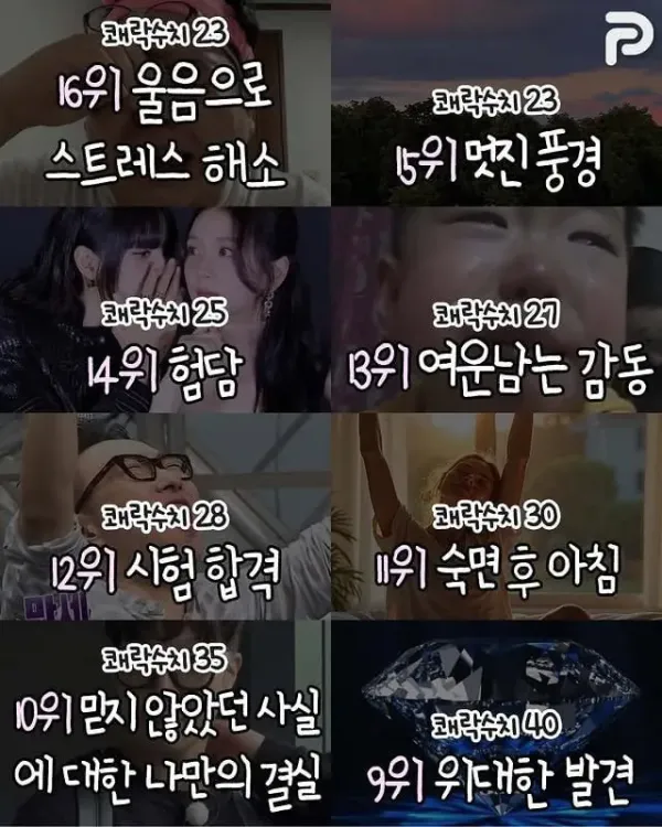 인간이 느낀다는 쾌락 수치 40