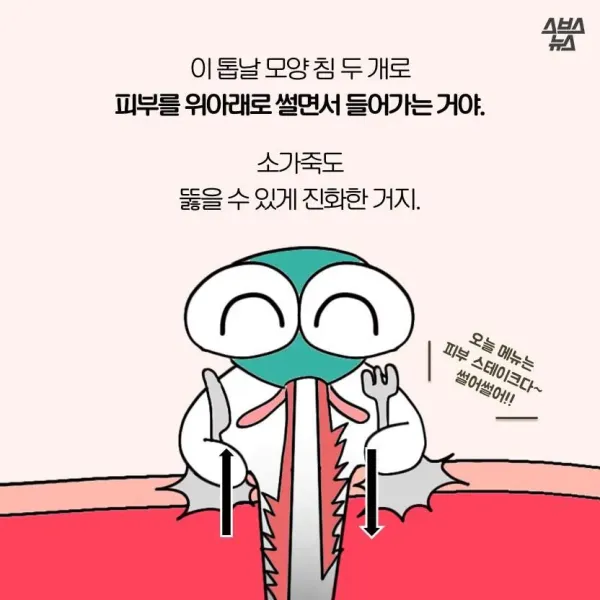 모기가 물면 가려운 이유