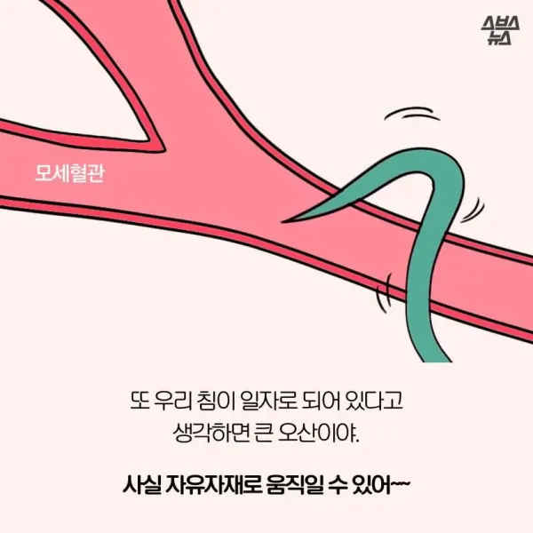 모기가 물면 가려운 이유