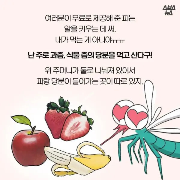 모기가 물면 가려운 이유