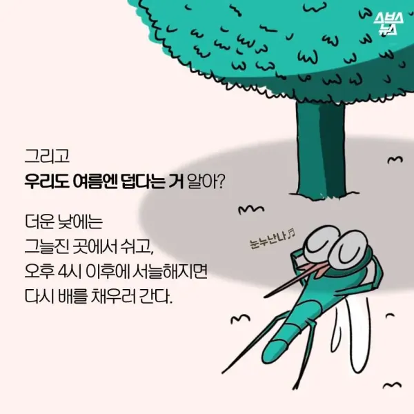 모기가 물면 가려운 이유