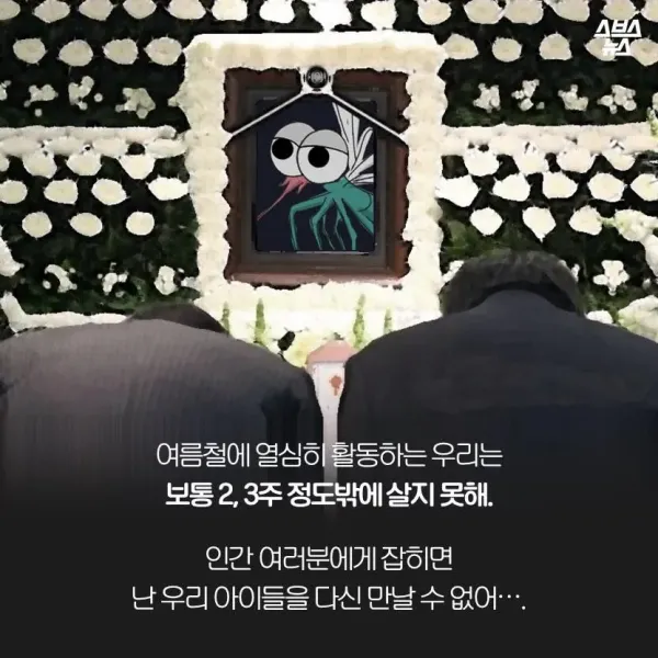 모기가 물면 가려운 이유