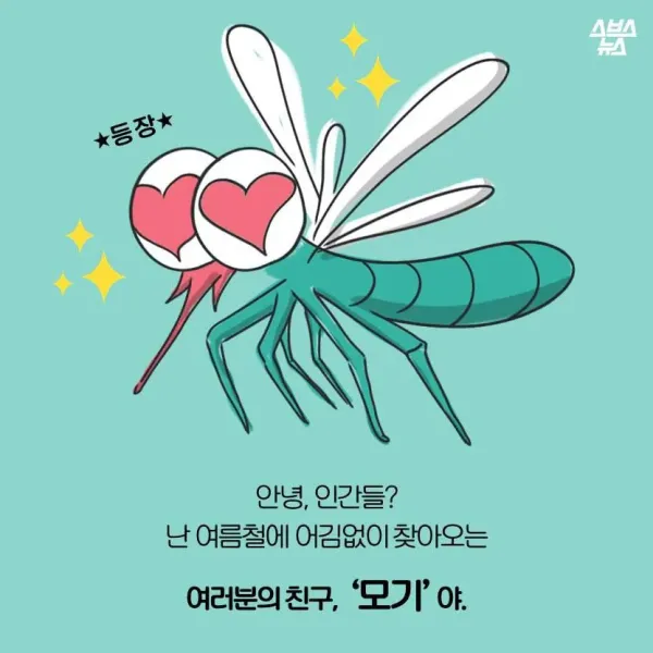 모기가 물면 가려운 이유
