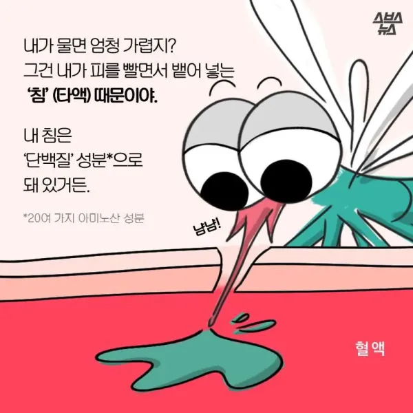 모기가 물면 가려운 이유
