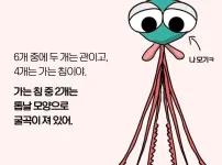 모기가 물면 가려운 이유
