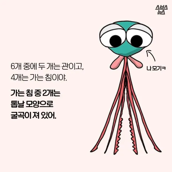 모기가 물면 가려운 이유