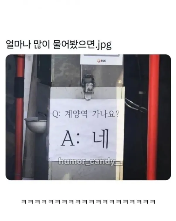 질문 자동사냥 돌리는 사람들