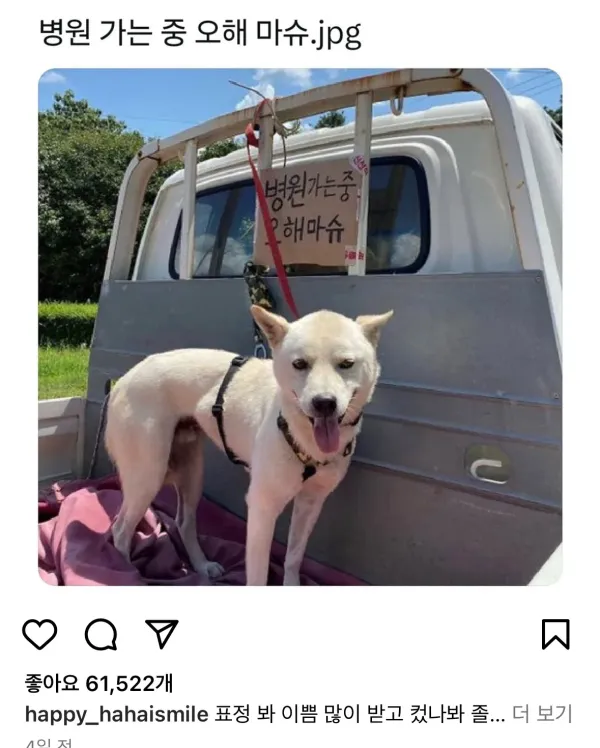병원 가는 중 오해 마슈