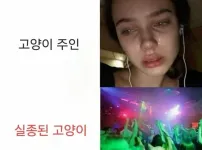 고양이 잃어버린후