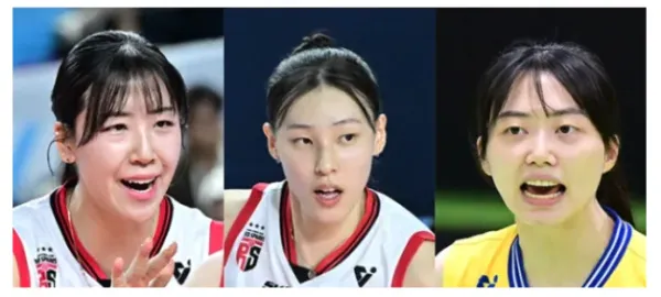 8일부터 여배 FA 시작이라는데 정호영 이선우 김다인 top3로 묶였네