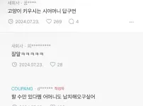 시어머니가 며느리한테 그만 좀 오라고 하는 상황