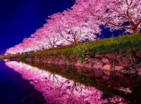 일본 도쿄 메구로강